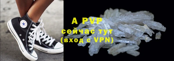 стафф Осинники