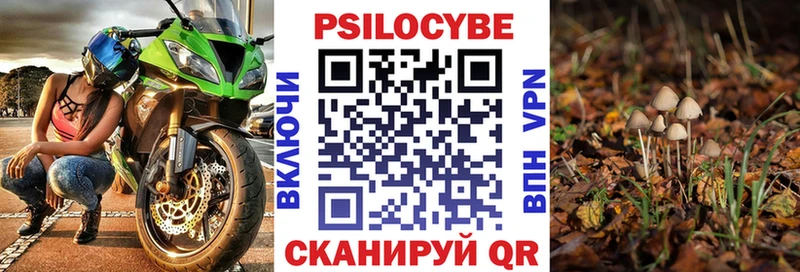 МЕГА зеркало Ужур Псилоцибиновые грибы Psilocybine cubensis